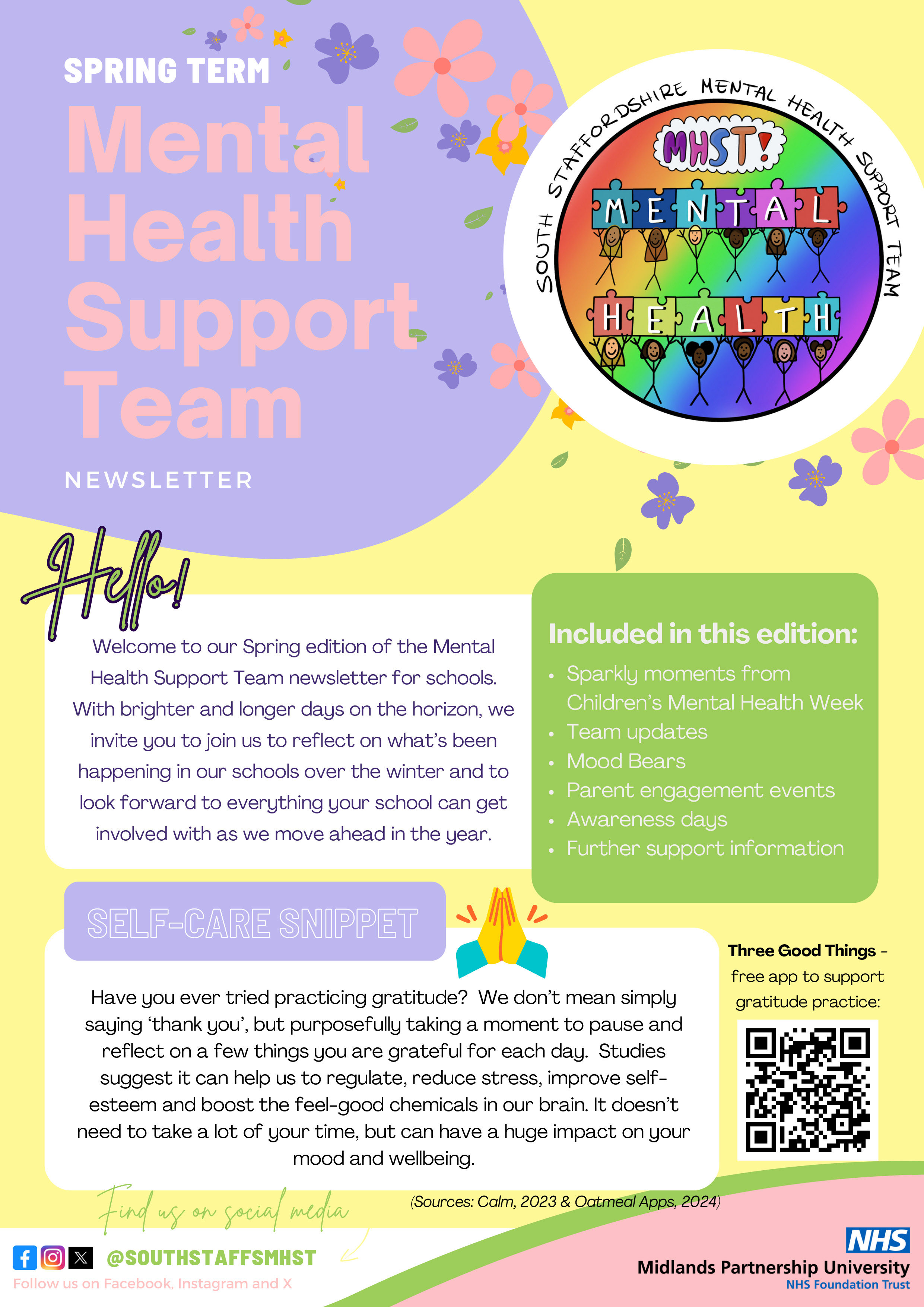 Mental Health Support Team